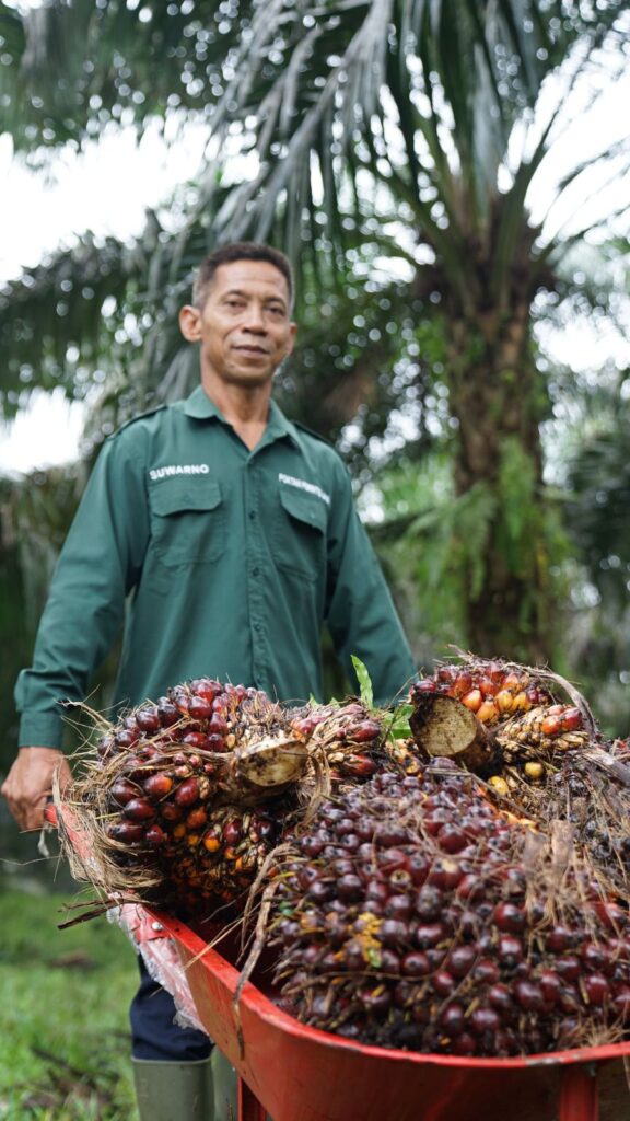 Kementan Pastikan CPO 2026 Cukup untuk Minyak Goreng dan Bioenergi