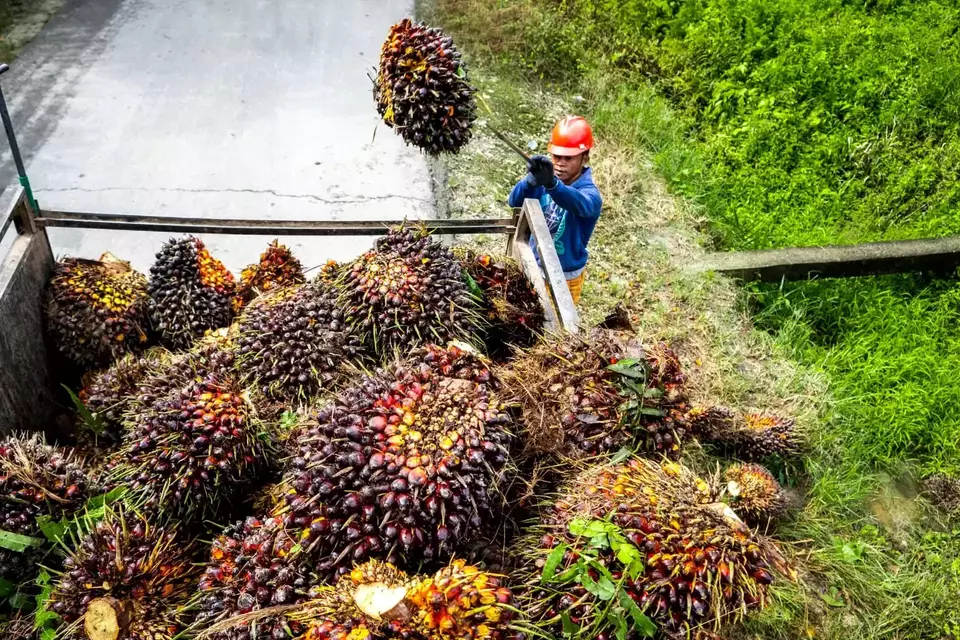 1776231068-1600x1066